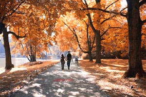 深圳红钻客场失分，保级处境愈发严峻